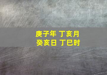 庚子年 丁亥月 癸亥日 丁巳时